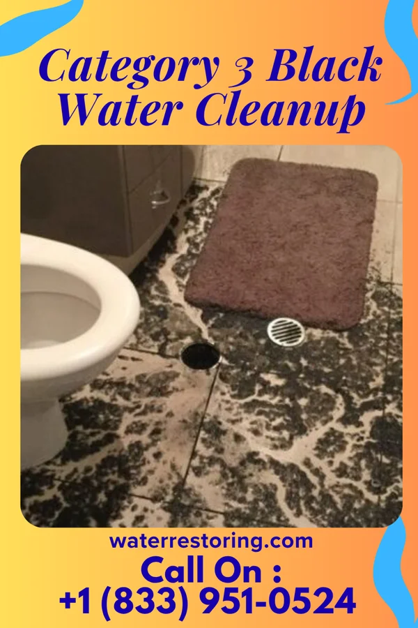 Category 3 Black Water Cleanup in Guilford Lake, OH