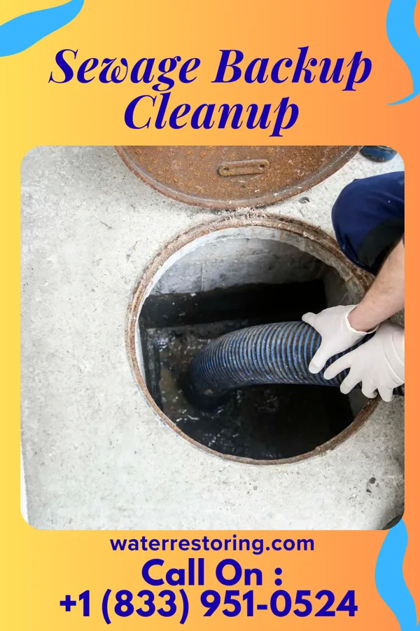 Sewage Backup Cleanup in Guilford Lake, OH