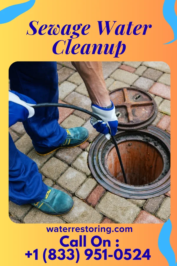 Sewage Water Cleanup in Guilford Lake, OH
